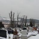Cmentarz Przemienienia Panskiego Zywiec